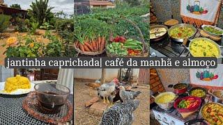 Fazendo colheita para preparar o jantar | rotina da manhã com cafezinho e almoço do dia