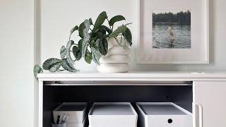 Minima x Flourish Spaces: The Intersection of Home Organizing and Interior Design