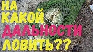 На какой дальности ловить? Рыбалка на Днестре.