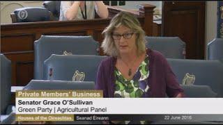 Senator Grace O'Sullivan tackles issue of waste charges