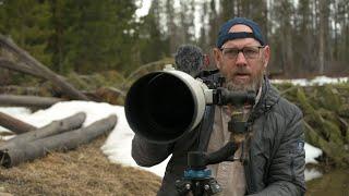 Photographing Birds! Right place at the Right time!