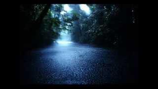 "60 mins" Nature Heavy Rainstorm Relaxing Sounds (No Music)