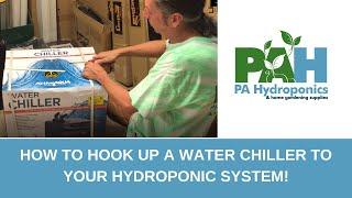 How to Hook Up a Water Chiller to Your Hydroponic System!