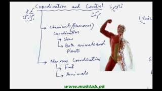 FSc Biology Book2, CH 17, LEC 1: Introduction and Coordination in plants