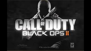 Call of Duty: Black Ops II i3 1115g4 (UHD Graphics 8gb ram)