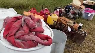 Join me as we attend the annual auction at an Amish community outside of Beeville,