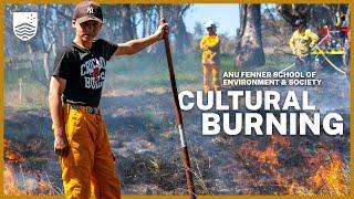 Supporting the re-emergence of cultural burning in box-gum grassy woodlands
