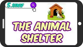 Animal Shelter / Akıcı Anlatım  5.Sınıf İngilizce #2023