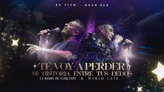 LBC  & Mario Luis  /   Te Voy a Perder  -  Mi Historia Entre Tus Dedos