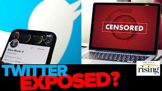 Twitter EXPOSED? Leaked Video Shows Site's Engineer Saying Employees Are 'Commie As F**k'