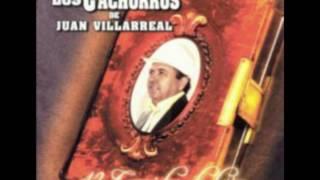 Comandante Fuentes- Los Cachorros de Juan Villarreal