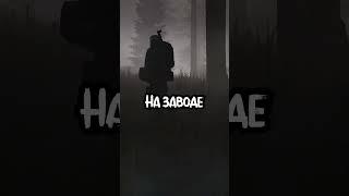 Почему не стоит пересекать Зону во время выброса (DayZ STALKER RP Kill Or Die)