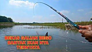 Kanan Kiri Strike Bergantian Kubangan Bekas Galian Bego Jadi Sarang Ikan || Waduk Cengklik Terbaru