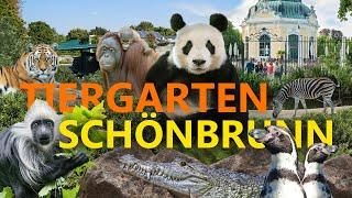 Tiergarten Schönbrunn (Wien) - Der älteste Zoo der Welt! | Zoo-Eindruck