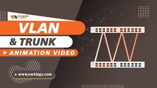 [Hindi] VLAN & Trunk - Animation Video | Network Kings