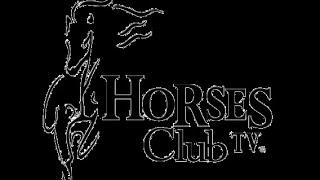 HORSES CLUB TV Conducido por Tony Galliano