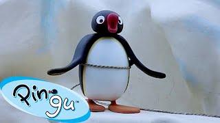 Traveling with Pingu  | Pingu - Official Channel | Cartoons For Kids