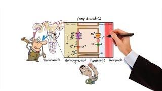 Pharmacology - DIURETICS (MADE EASY)