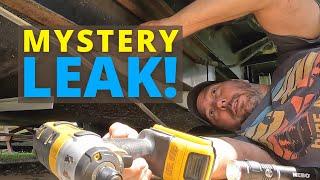 Mystery Leak! (Black Tank Check Valve) (Full Time RV Life)