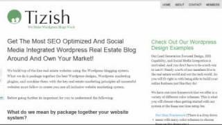 Tizish Wordpress Blog - Sales Overview Of What We Provide