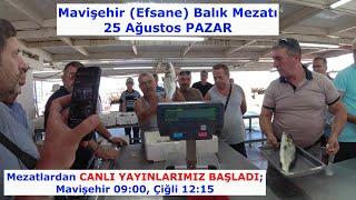 25 AĞUSTOS PAZAR MAVİŞEHİR BALIK MEZATI. SAAT 09:00 DA MAVİŞEHİR, 12:15 TE ÇİĞLİ CANLI YAYINDAYIM.