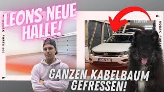 Leons neue Halle! | Yoda der Kabelfressende Hund | Car-VLOG #13