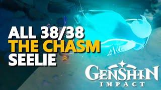 All The Chasm Seelie Genshin Impact