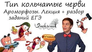 Тип Кольчатые черви. Ароморфозы. Лекция и разбор заданий от Юрия Беллевича