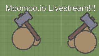 Moomoo.io LIVE STREAM!!!!!