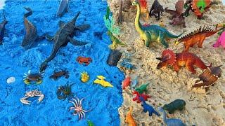 Dinosaurs On The Beach! Water Dinos and Land Dinos | T Rex, Velociraptor, and many more!