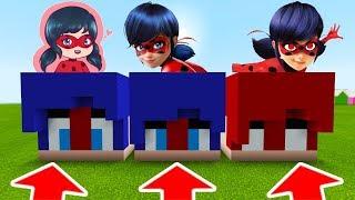 NE CHOISISSEZ PAS LA MAUVAISE LADYBUG SUR MINECRAFT ! Bébé , Miraculous , 3H Du Matin