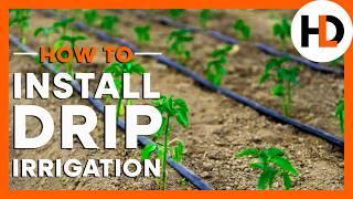 Should You Install Drip Irrigation?