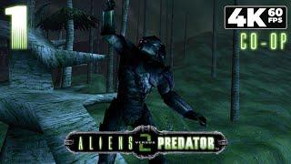 Aliens versus Predator 2 (PC) - 4K60 Walkthrough (Predator) Co-op Mission 1 - Hunt