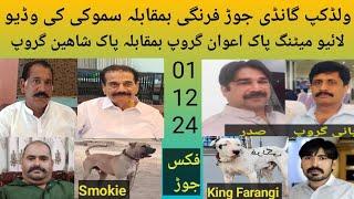 Big Worldcup Fix Jorr King Farangi Vs Smokie (Pak Awan Group Vs Pak Shaheen Group) live Meeting