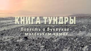 Книга Тундры. Повесть о Вуквукае – маленьком камне (2011) документальный фильм