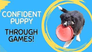 Boost Your Puppy's Confidence with These 2 Simple Games!