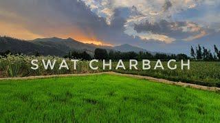 Beautiful Walking Track in Swat Charbagh Vallage سوات چارباغ 