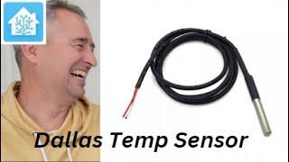 Dallas Temperature Sensor in Home Assistant