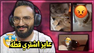 تحدي الضحك  ولو ضحكت اقول نكتة رخمة  (عودة ميمز القطط) 