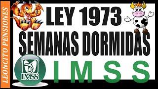 N4-IMSS LEY 1973, SEMANAS DORMIDAS!!! ️️ #pension #adultosmayores #ayudasocial #pagos #méxico