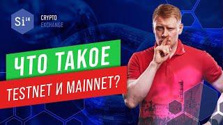 Что такое Testnet и Mainnet за 4 минуты. Энциклопедия si14crypto.com