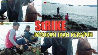 #mancingmania #mancingbetok #mancingcantikmania SPOT PINGGIRAN LAUT_STRIKE_pasukan ikan kerapu