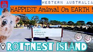 Travelogue | Meet The QUOKKAS at ROTTNEST ISLAND! Western Australia [August 2019, EP 2]