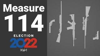 Oregon Measure 114, the gun control measure, explained