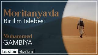 Moritanya'da Bir İlim Talebesi | Muhammed Gambiya | BELGESEL