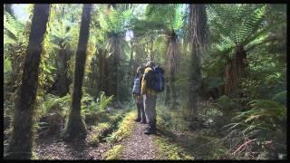 Hollyford Track Fiordland National Park New Zealand