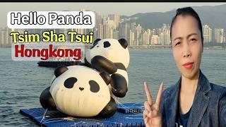 Hello Pandas/Opening Ceremony/Tsim Sha Tsui - Hongkong