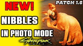 Nibbles in Photo Mode New DLC Feature in Cyberpunk 2077 Patch 1.6 | Cat in Photo Mode How To Use