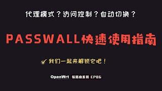 「#31」Openwrt Passwall 科学上网插件，快速使用指南 | 口碑好、使用难度低、性能高的软路由插件 Passwall 设置教程