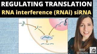 Regulating Translation: RNA interference (RNAi) by small interfering RNA (siRNA). A-level Biology